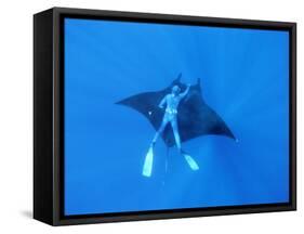 Diver Holds on to Giant Manta Ray, Mexico-Jeffrey Rotman-Framed Stretched Canvas