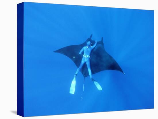 Diver Holds on to Giant Manta Ray, Mexico-Jeffrey Rotman-Stretched Canvas