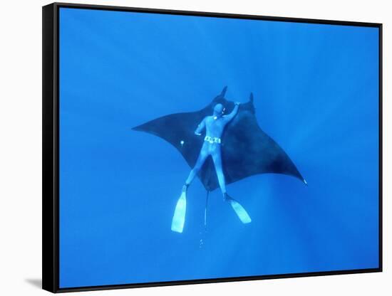 Diver Holds on to Giant Manta Ray, Mexico-Jeffrey Rotman-Framed Stretched Canvas