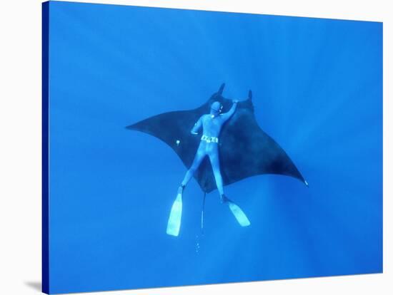 Diver Holds on to Giant Manta Ray, Mexico-Jeffrey Rotman-Stretched Canvas