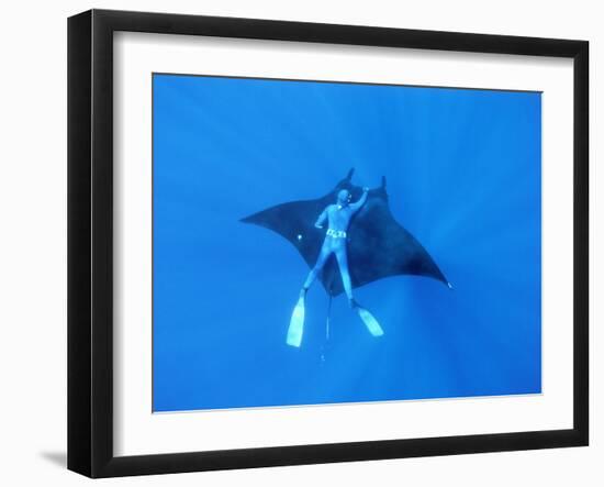 Diver Holds on to Giant Manta Ray, Mexico-Jeffrey Rotman-Framed Photographic Print