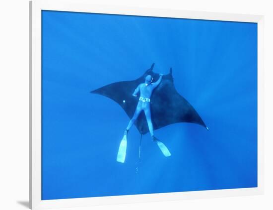 Diver Holds on to Giant Manta Ray, Mexico-Jeffrey Rotman-Framed Photographic Print