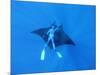 Diver Holds on to Giant Manta Ray, Mexico-Jeffrey Rotman-Mounted Photographic Print