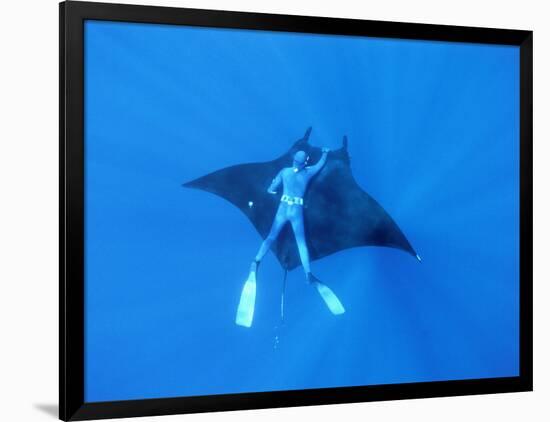 Diver Holds on to Giant Manta Ray, Mexico-Jeffrey Rotman-Framed Photographic Print