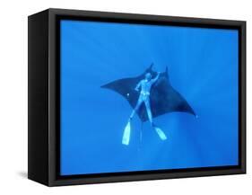 Diver Holds on to Giant Manta Ray, Mexico-Jeffrey Rotman-Framed Stretched Canvas