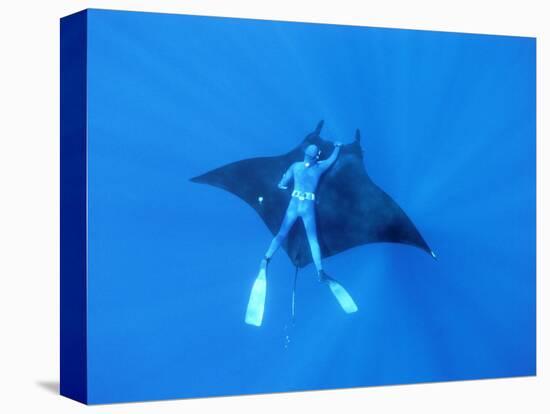 Diver Holds on to Giant Manta Ray, Mexico-Jeffrey Rotman-Stretched Canvas