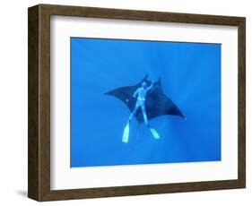 Diver Holds on to Giant Manta Ray, Mexico-Jeffrey Rotman-Framed Photographic Print