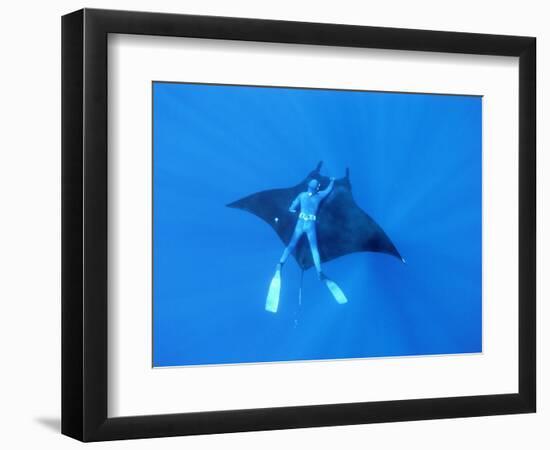 Diver Holds on to Giant Manta Ray, Mexico-Jeffrey Rotman-Framed Photographic Print