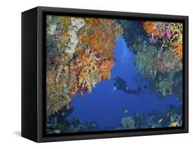 Diver Inspects Reef, Raja Ampat, Papua, Indonesia-Jones-Shimlock-Framed Stretched Canvas