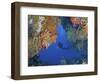 Diver Inspects Reef, Raja Ampat, Papua, Indonesia-Jones-Shimlock-Framed Photographic Print