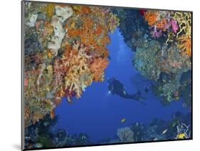 Diver Inspects Reef, Raja Ampat, Papua, Indonesia-Jones-Shimlock-Mounted Photographic Print