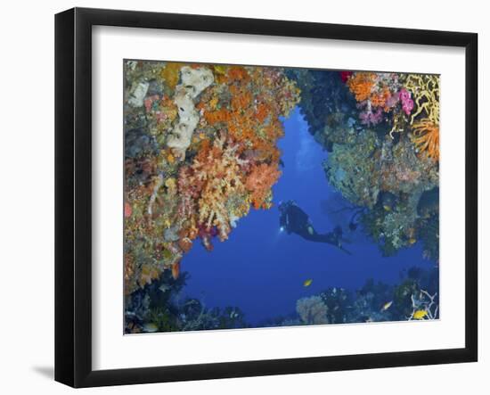 Diver Inspects Reef, Raja Ampat, Papua, Indonesia-Jones-Shimlock-Framed Photographic Print