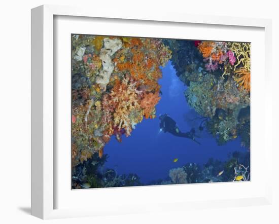 Diver Inspects Reef, Raja Ampat, Papua, Indonesia-Jones-Shimlock-Framed Photographic Print