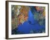 Diver Inspects Reef, Raja Ampat, Papua, Indonesia-Jones-Shimlock-Framed Photographic Print