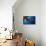 Diver Looks on at a Bright Red Soft Coral and Sponge Hanging from a Cave-null-Photographic Print displayed on a wall