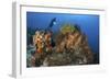 Diver Looks on at a Colorful Komodo Seascape, Indonesia-Stocktrek Images-Framed Photographic Print