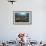 Diver Looks on at Sponges, Soft Corals and Crinoids in a Colorful Komodo Seascape-Stocktrek Images-Framed Photographic Print displayed on a wall