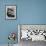 Diver Meddling Around with a Blowfish in Hartley's Underwater Movie in Bermuda-Peter Stackpole-Framed Photographic Print displayed on a wall