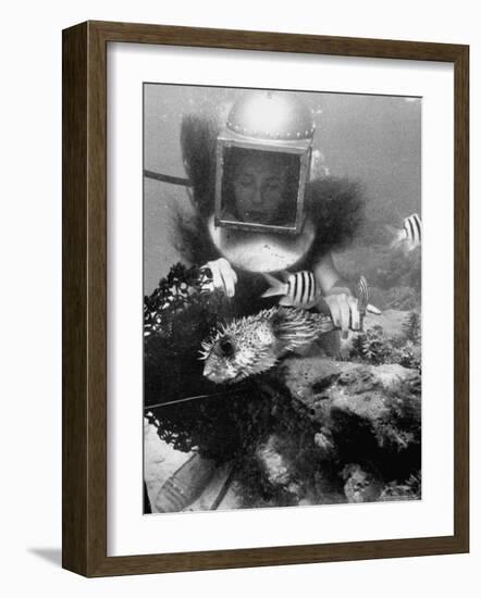 Diver Meddling Around with a Blowfish in Hartley's Underwater Movie in Bermuda-Peter Stackpole-Framed Photographic Print