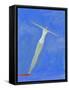 Diver on Springboard-Marie Bertrand-Framed Stretched Canvas