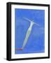 Diver on Springboard-Marie Bertrand-Framed Giclee Print