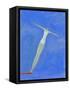 Diver on Springboard-Marie Bertrand-Framed Stretched Canvas