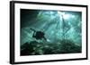 Diver Passes Through Light Beams in Chac Mool Cenote in Mexico-null-Framed Photographic Print