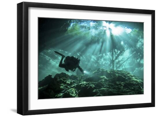 Premium Photographic Print, , large