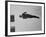 Diver Pat McCormick in Mid Dive at 1952 Olympics-Ralph Crane-Framed Premium Photographic Print