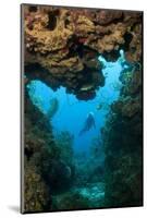 Diver Seen through Opening in Coral Reef.-Stephen Frink-Mounted Photographic Print