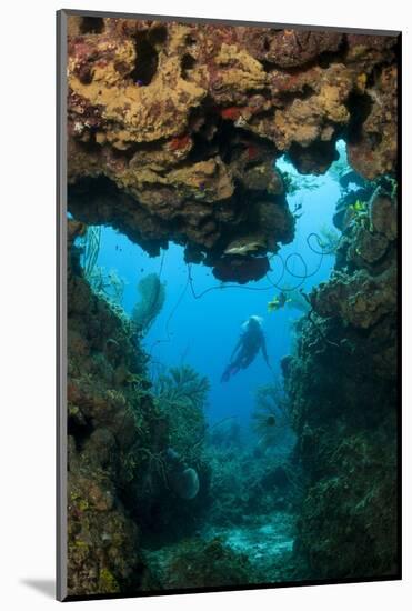 Diver Seen through Opening in Coral Reef.-Stephen Frink-Mounted Photographic Print