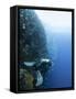 Diver Swimming Along a Wall at Bunaken, Sulawesi, Indonesia, Southeast Asia, Asia-Lisa Collins-Framed Stretched Canvas