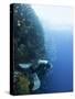 Diver Swimming Along a Wall at Bunaken, Sulawesi, Indonesia, Southeast Asia, Asia-Lisa Collins-Stretched Canvas