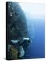 Diver Swimming Along a Wall at Bunaken, Sulawesi, Indonesia, Southeast Asia, Asia-Lisa Collins-Stretched Canvas