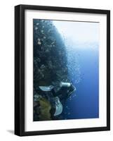 Diver Swimming Along a Wall at Bunaken, Sulawesi, Indonesia, Southeast Asia, Asia-Lisa Collins-Framed Photographic Print