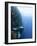 Diver Swimming Along a Wall at Bunaken, Sulawesi, Indonesia, Southeast Asia, Asia-Lisa Collins-Framed Photographic Print