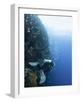 Diver Swimming Along a Wall at Bunaken, Sulawesi, Indonesia, Southeast Asia, Asia-Lisa Collins-Framed Photographic Print