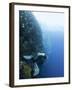 Diver Swimming Along a Wall at Bunaken, Sulawesi, Indonesia, Southeast Asia, Asia-Lisa Collins-Framed Photographic Print