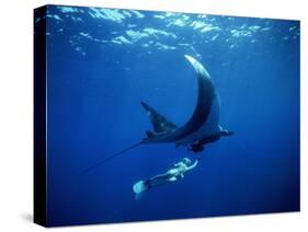 Diver Swims with Giant Manta Ray, Mexico-Jeffrey Rotman-Stretched Canvas