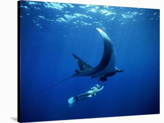 Diver Swims with Giant Manta Ray, Mexico-Jeffrey Rotman-Stretched Canvas