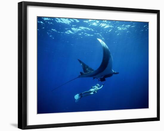 Diver Swims with Giant Manta Ray, Mexico-Jeffrey Rotman-Framed Photographic Print