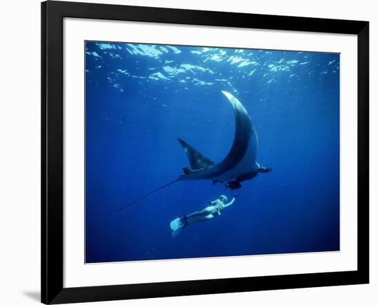 Diver Swims with Giant Manta Ray, Mexico-Jeffrey Rotman-Framed Photographic Print