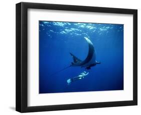 Diver Swims with Giant Manta Ray, Mexico-Jeffrey Rotman-Framed Photographic Print