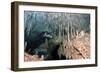 Diver Using Side Mount Gear in Cave in Mexico-null-Framed Photographic Print