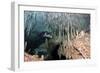 Diver Using Side Mount Gear in Cave in Mexico-null-Framed Photographic Print