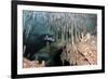 Diver Using Side Mount Gear in Cave in Mexico-null-Framed Photographic Print