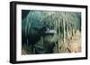 Diver Using Side Mount Gear in Cave in Mexico-null-Framed Photographic Print