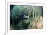 Diver Using Side Mount Gear in Cave in Mexico-null-Framed Photographic Print