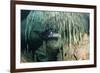 Diver Using Side Mount Gear in Cave in Mexico-null-Framed Photographic Print