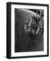 Diver Wearing Deep Sea Diving Suit in the Water-null-Framed Photographic Print